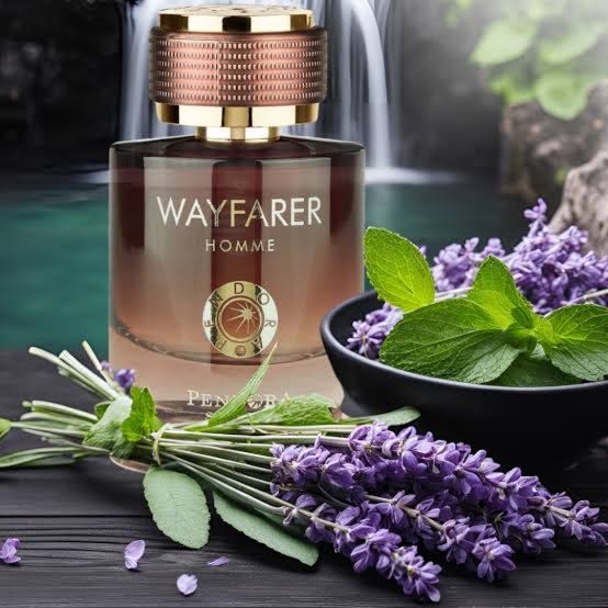 WAYFARER HOME